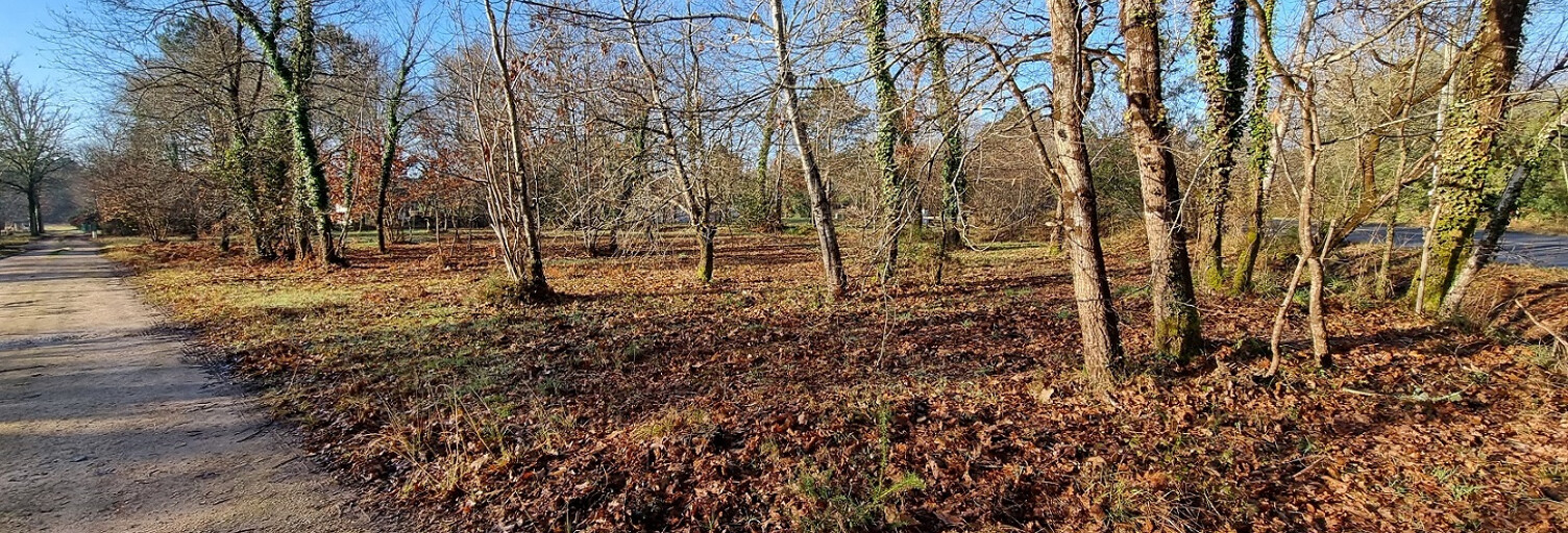 Terrain  2713 m² à vendre à Mézos (40170)