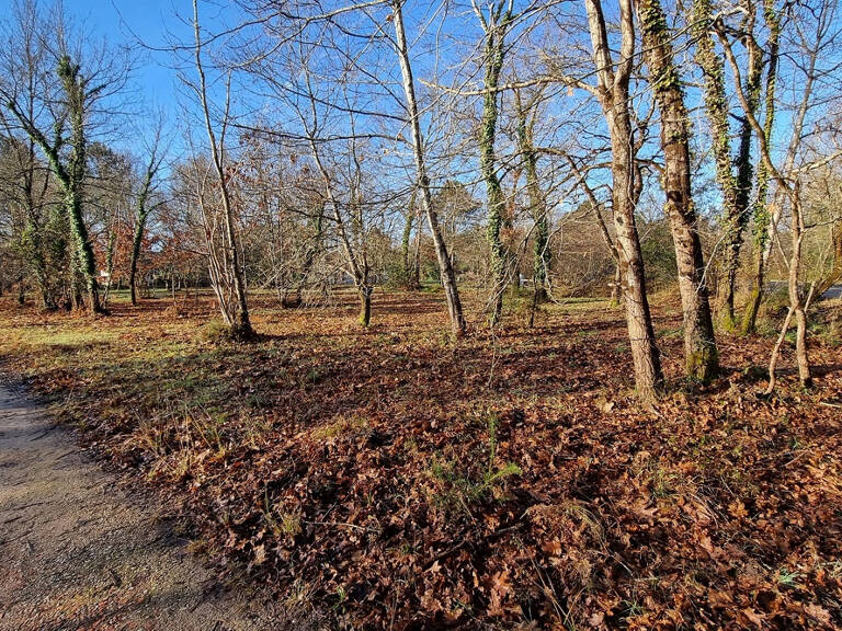 Magnifique terrain à vendre à Mezos — photo 1