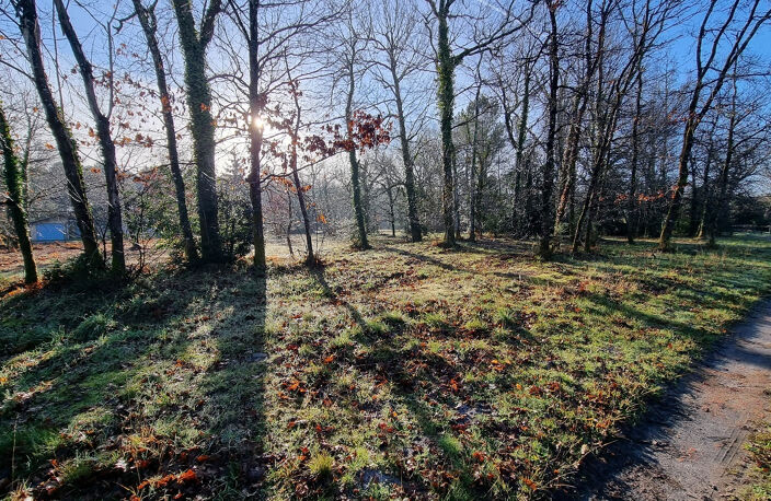 Magnifique terrain à vendre à Mezos — photo 2