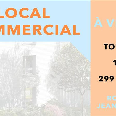 Commerce  299900 €