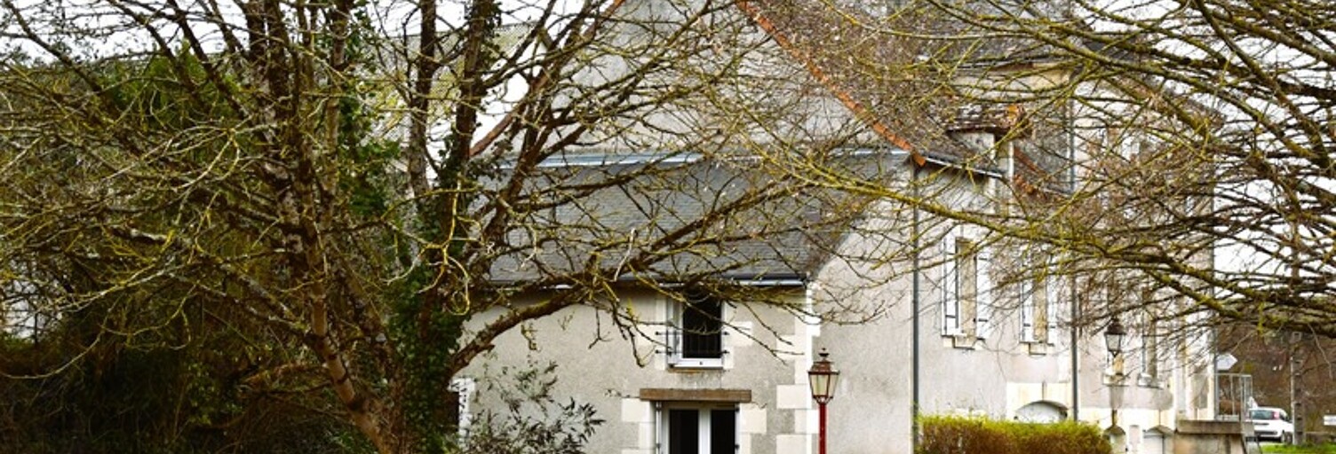 Maison 11 Pièces 259 m² à vendre à Le Grand-Pressigny (37350)