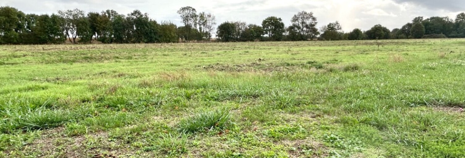 Terrain  325 m² à vendre à Saint-Georges-du-Bois (17700)