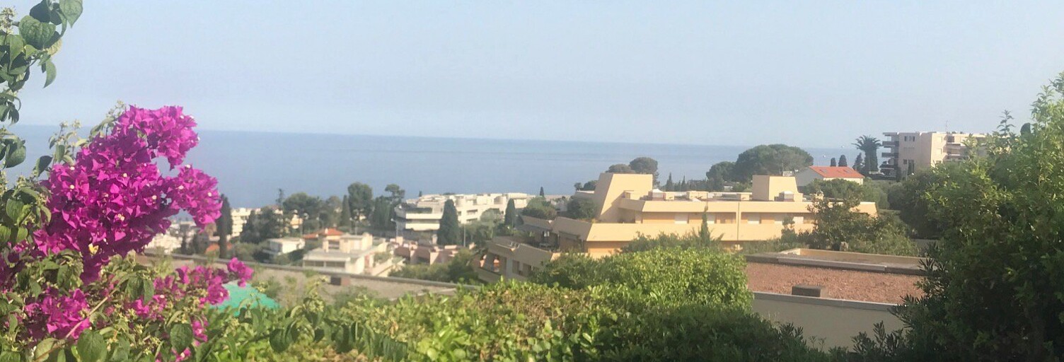 Appartement 2 Pièces 43 m² à vendre à Nice (06200)