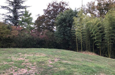 Dpt Ain (01), à vendre CEYZERIAT terrain — photo du bien