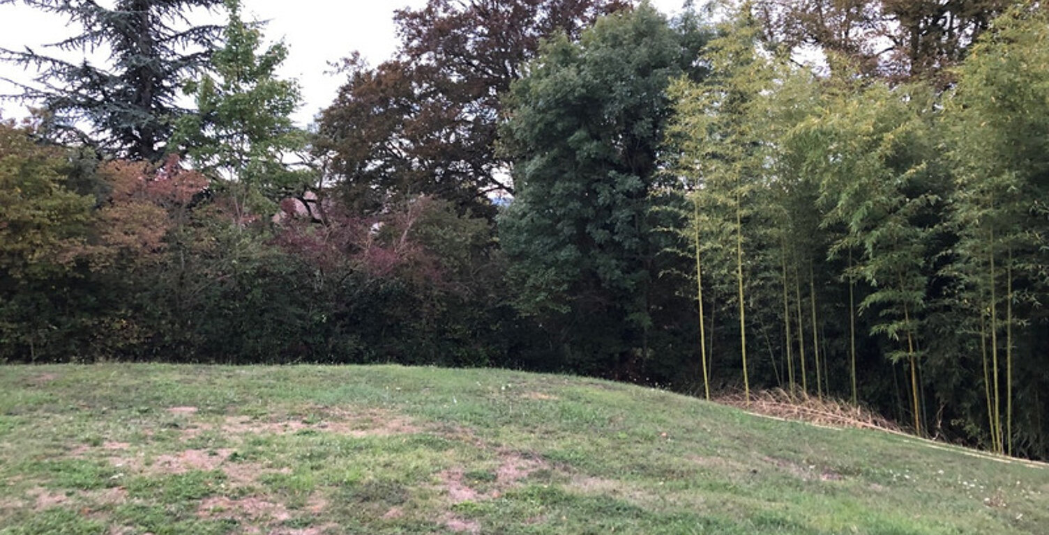 Dpt Ain (01), à vendre CEYZERIAT terrain — photo 1