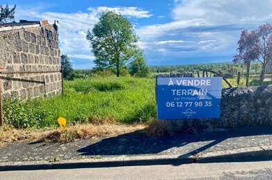 Terrain  49000 €