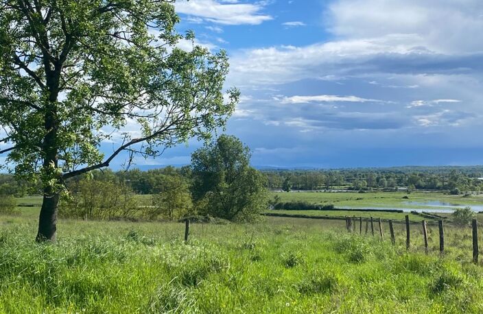 À vendre Saône et Loire – Digoin Terrain de 4 560 m² avec vue dégagée exceptionnelle — photo 2