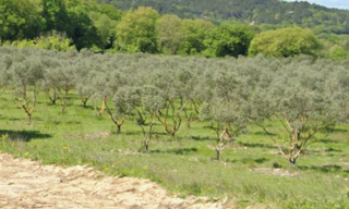 Maison 90 m² à construire Rognes (13840)
