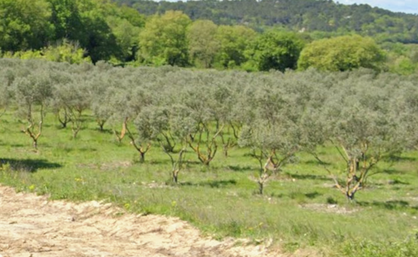 Terrain  à vendre Rognes 13840
