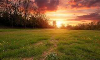 Terrain 743 m² à construire Saint-André-de-Cubzac (33240)