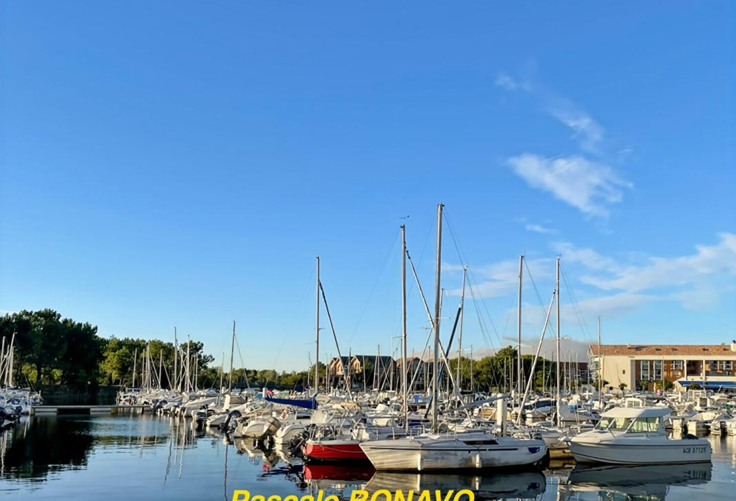Hourtin Port - Nouveau Lotissement - Terrain Viabilisé — photo 1