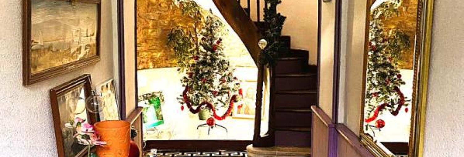 Maison 473 m² en viager Salies-de-Béarn (64270)