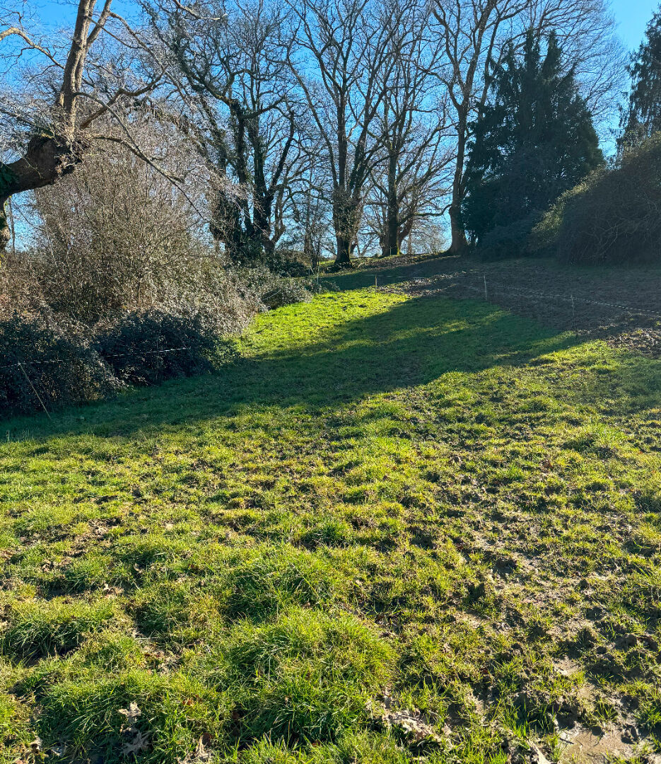 Terrain  à vendre Saint-Jammes 64160