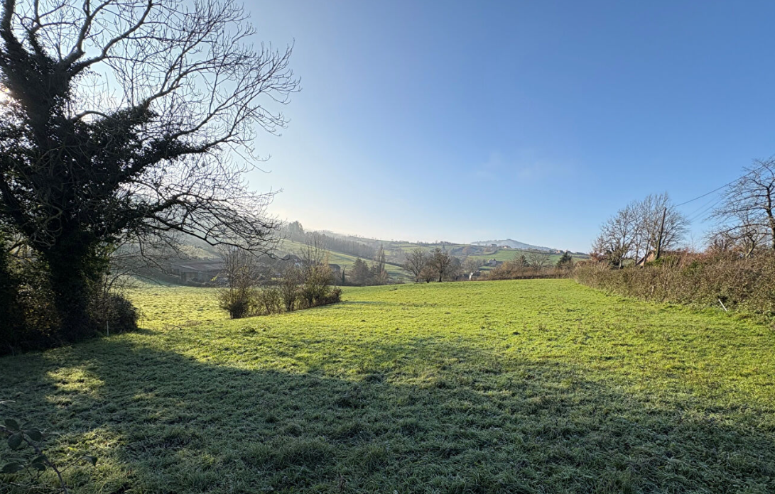 Agence immobilière de NOVA VILLA CONSTRUCTEUR