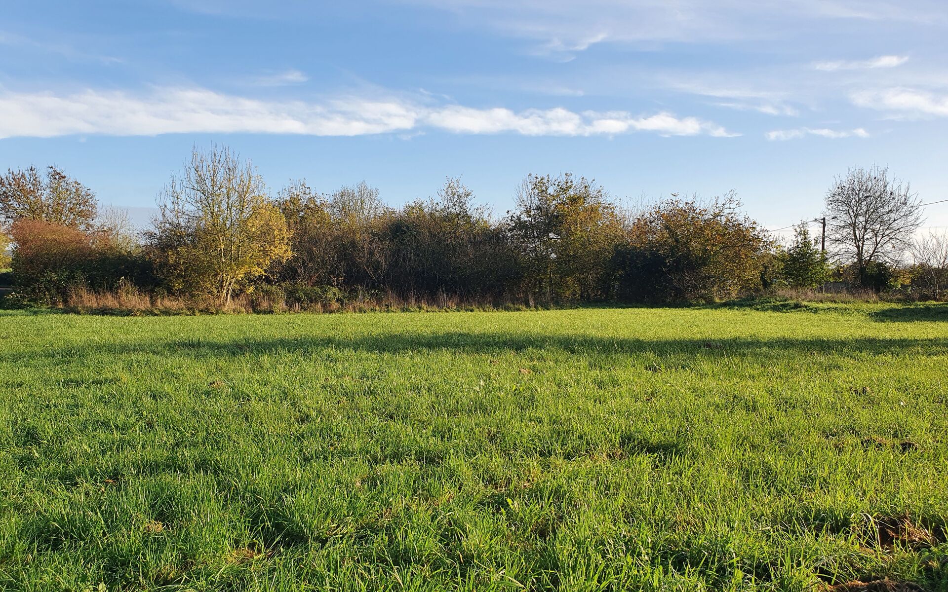 Agence immobilière de HESTI-HABITAT