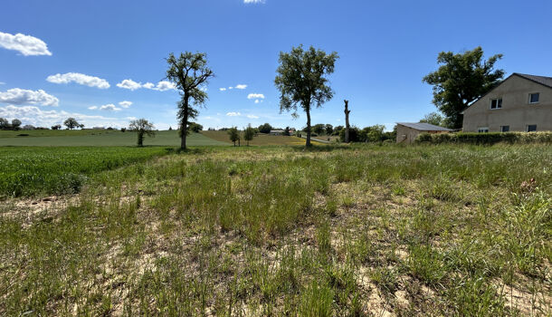 Terrain  à vendre Tauriac-de-Naucelle 12800