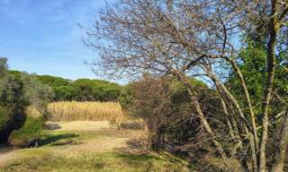 Terrain 2561 m² à construire Fréjus (83600)