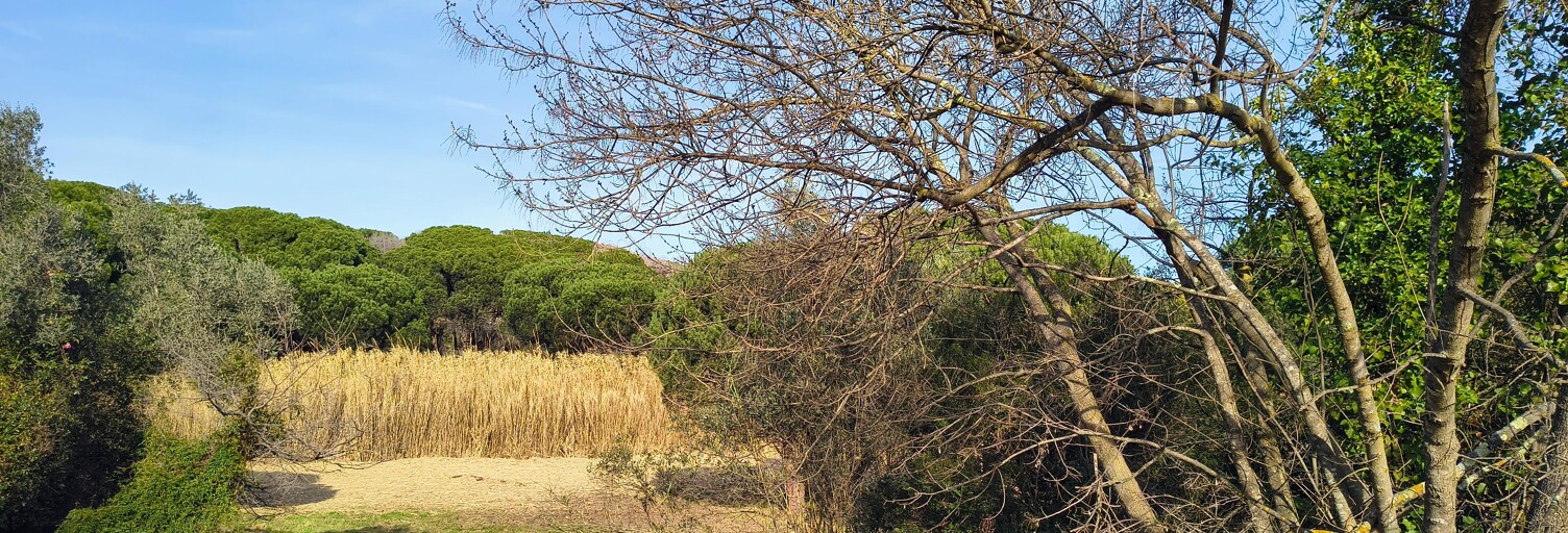 Terrain 2561 m² à construire Fréjus (83600)