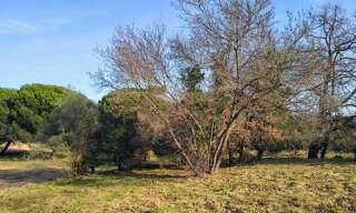 Terrain 544 m² à construire Fréjus (83600)