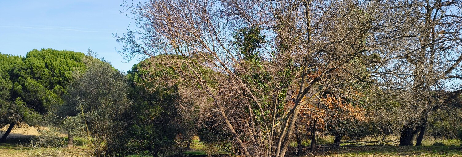 Terrain 544 m² à construire Fréjus (83600)