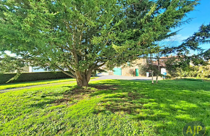 Maison 50m² MONTAIGU-VENDEE — photo 3
