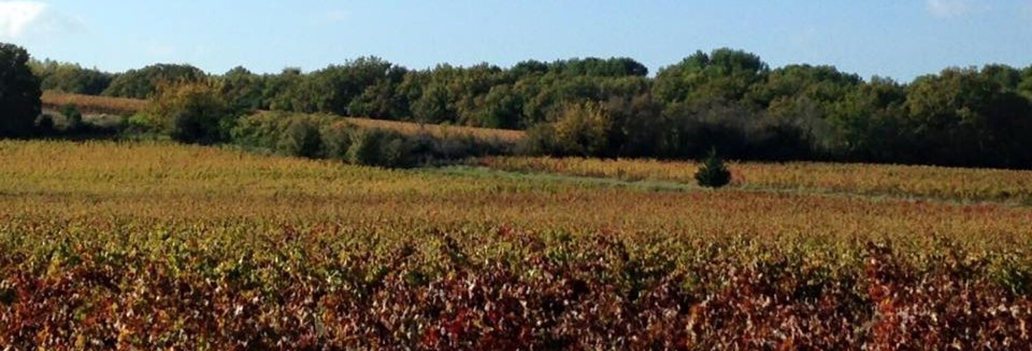 Terrain  500 m² à vendre à Sauveterre-de-Guyenne (33540)