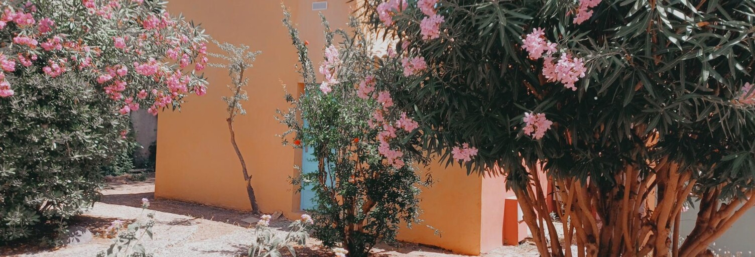 Maison 2 Pièces 29 m² à vendre à Borgo (20290)