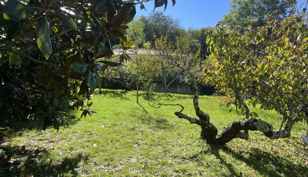 Villa / Maison 5 pièces  à vendre Arles-sur-Tech 66150