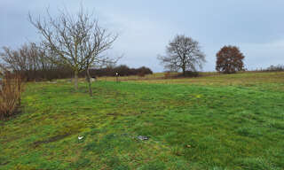 Terrain  4502 m² à vendre à Saumur (49400)