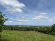 Domaine — photo 4
