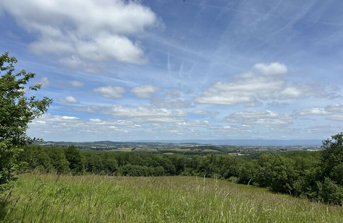 Domaine — photo 4