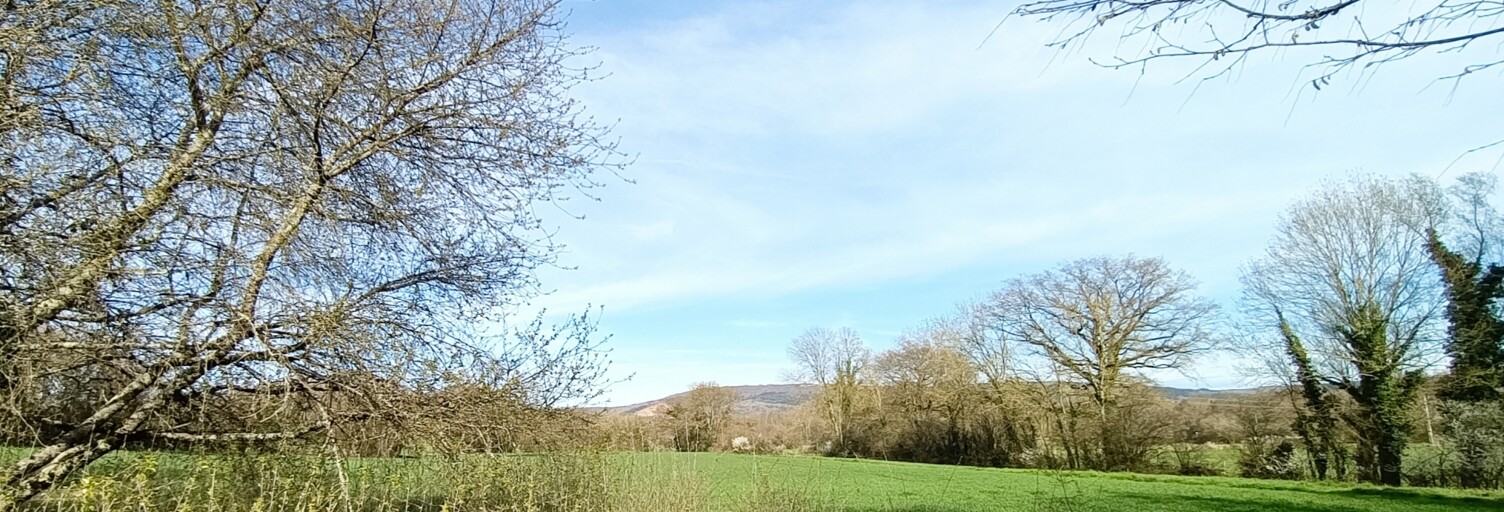 Terrain  715 m² à vendre à Montagnat (01250)