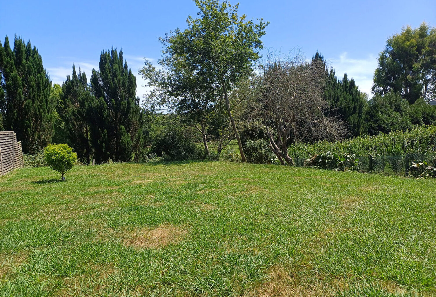 Jolie maison familiale avec jardin à Arbonne — photo 1