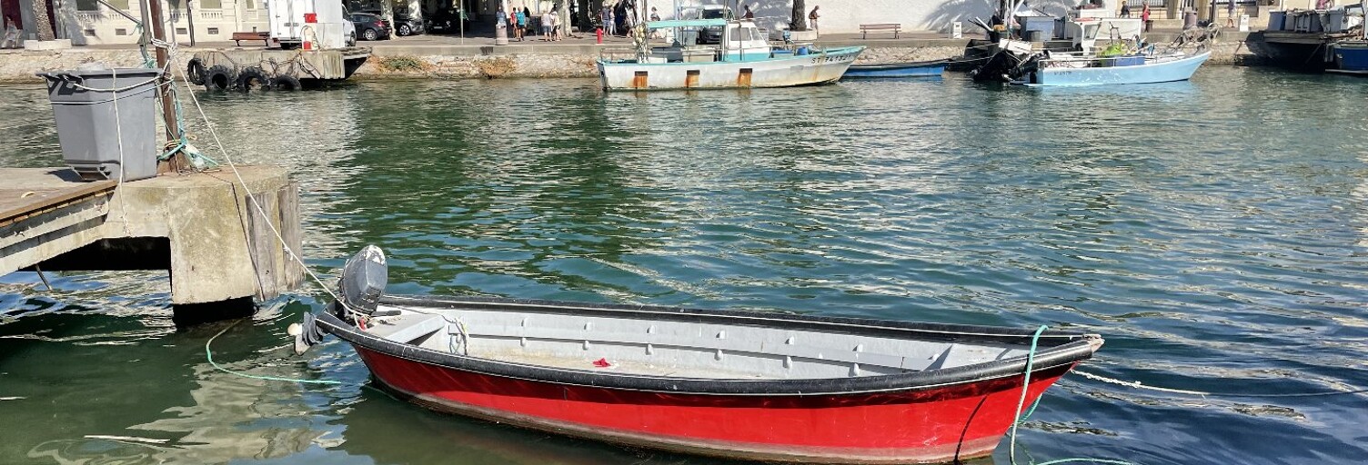 Maison 9 Pièces 170 m² à vendre à Le Grau-du-Roi (30240)