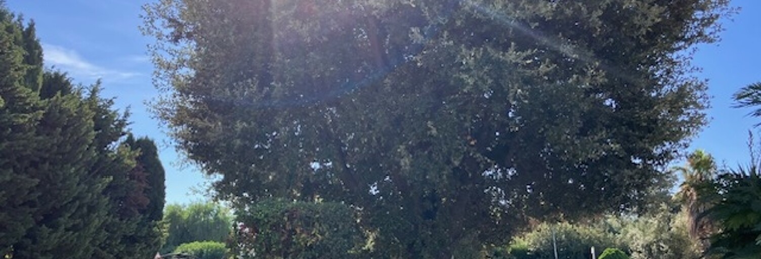 Immeuble  180 m² à vendre à Le Soler (66270)