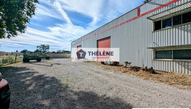 Local commercial  à louer Fabrègues 34690