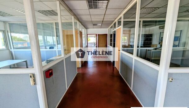 Local commercial  à louer Fabrègues 34690