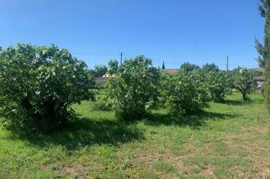Terrain  169000 €