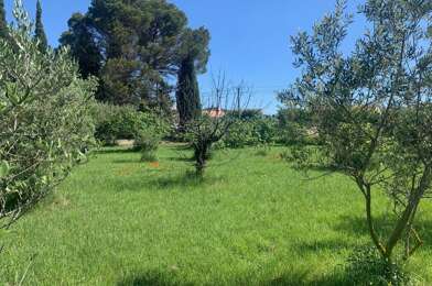 Terrain  169000 €