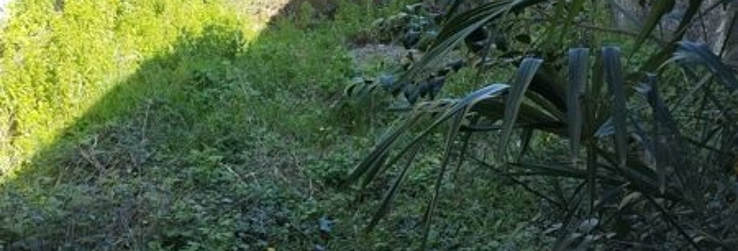 Maison 4 Pièces 100 m² à vendre à Rabastens-de-Bigorre (65140)