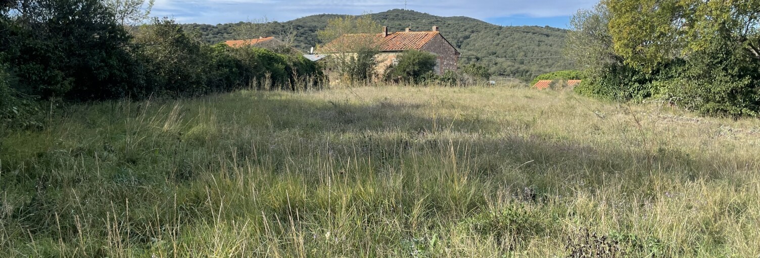 Terrain  1100 m² à vendre à Llauro (66300)