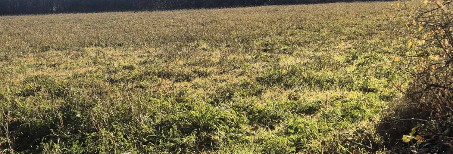 Terrain  529 m² à vendre à Les Omergues (04200)