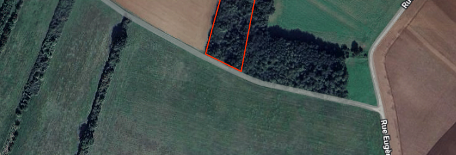 Terrain  4662 m² à vendre à Vinneuf (89140)