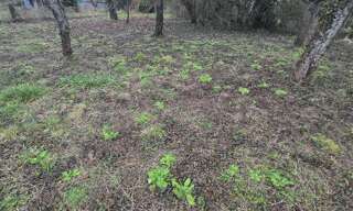 Terrain  585 m² à vendre à Dormans (51700)