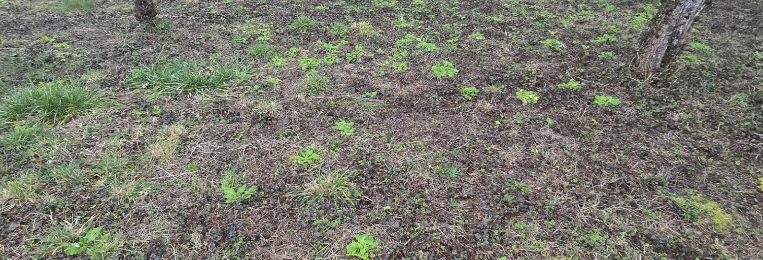 Terrain  585 m² à vendre à Dormans (51700)