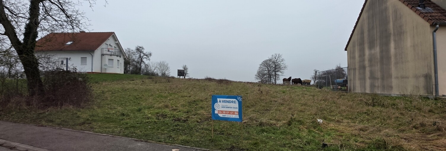 Terrain  4187 m² à vendre à Saint-François-Lacroix (57320)