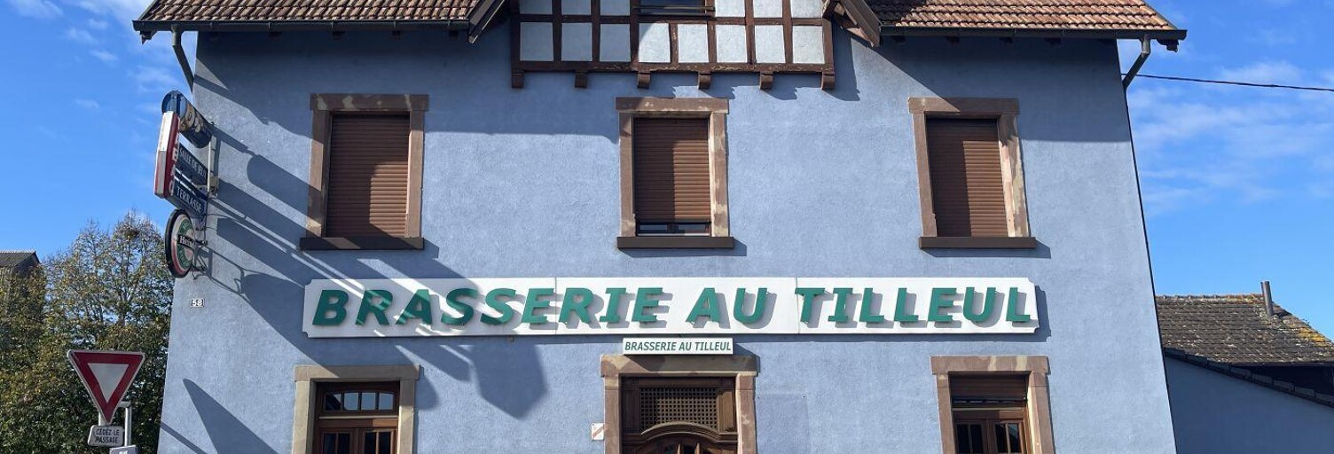 Commerce  250 m² à vendre à Artolsheim (67390)