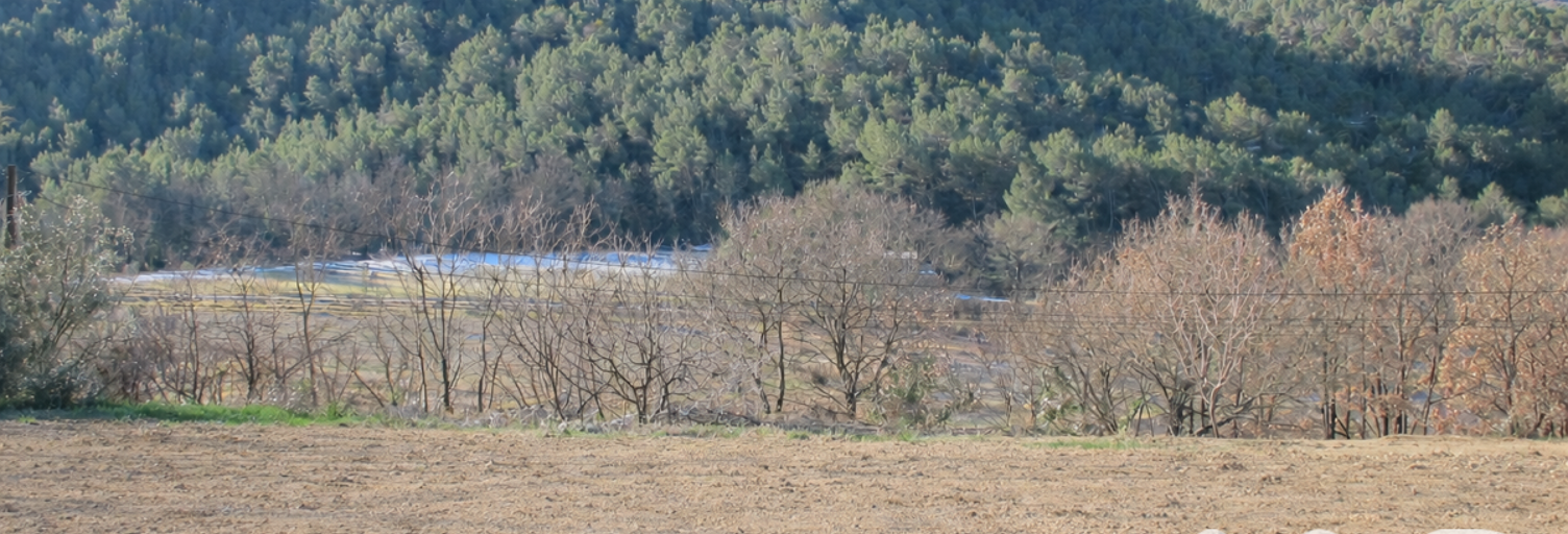 Terrain  934 m² à vendre à Eygaliers (26170)