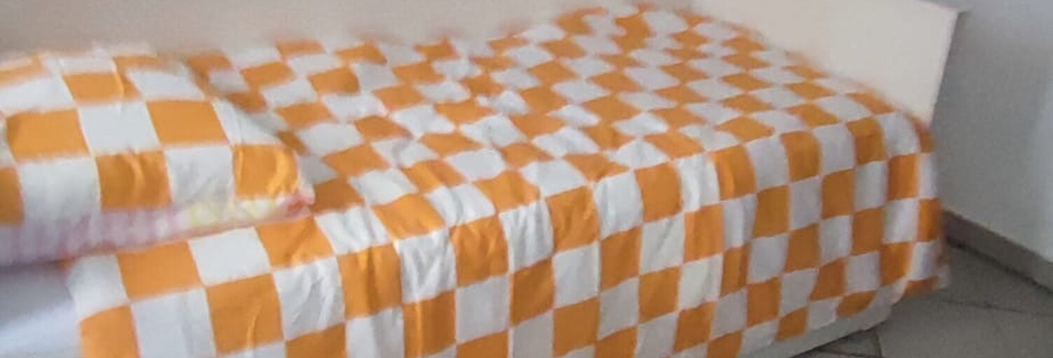 Appartement 1 Pièce 19 m² à louer à Saint-Étienne (42000)