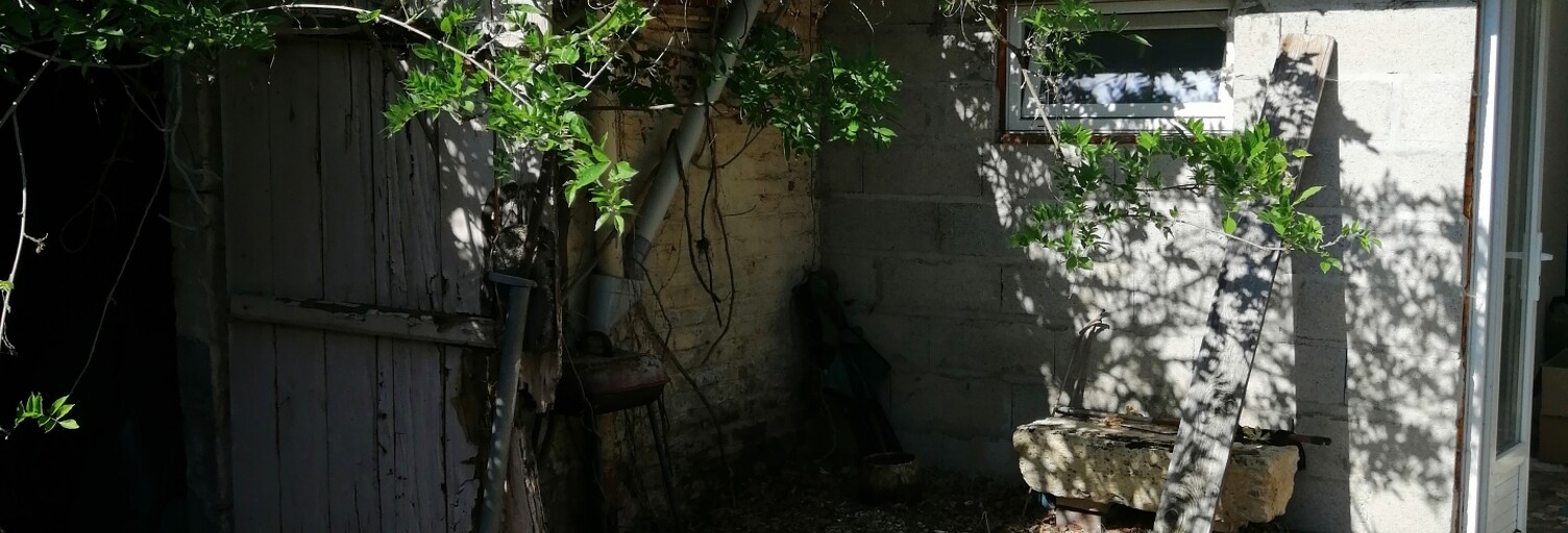 Photo N° 2